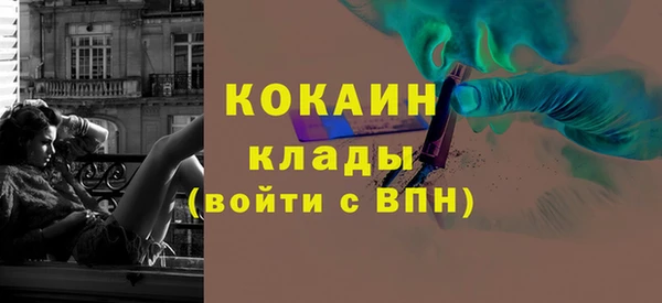 кокс Алексин