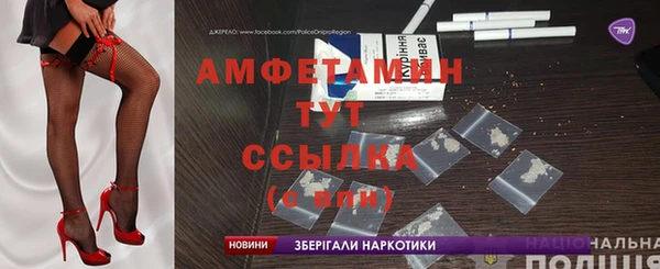 гашик Осинники