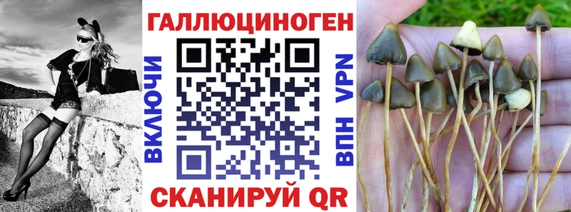 Псилоцибиновые грибы ЛСД  наркотики  Печоры 